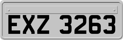EXZ3263