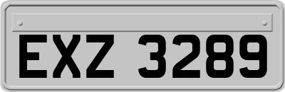 EXZ3289