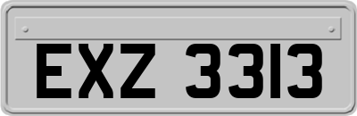 EXZ3313