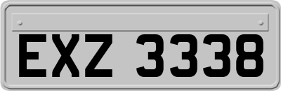 EXZ3338