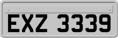 EXZ3339