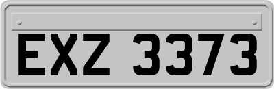 EXZ3373