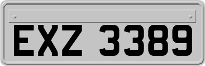 EXZ3389