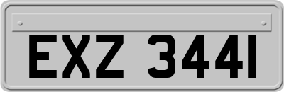 EXZ3441