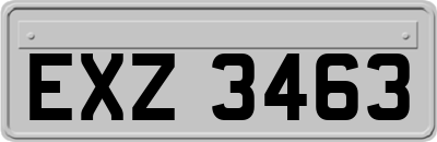 EXZ3463
