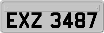 EXZ3487