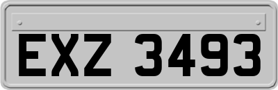 EXZ3493