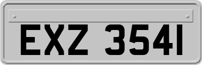 EXZ3541