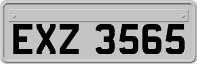 EXZ3565