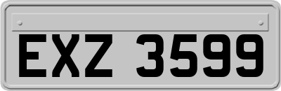 EXZ3599