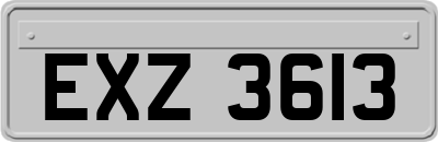 EXZ3613