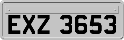 EXZ3653