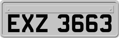 EXZ3663