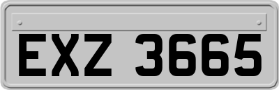 EXZ3665