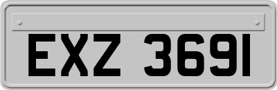 EXZ3691