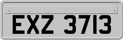 EXZ3713