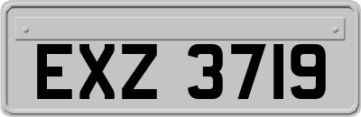 EXZ3719