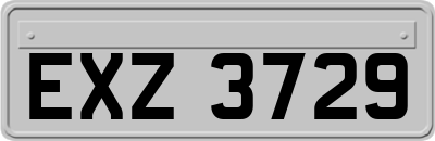 EXZ3729