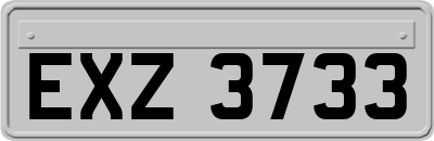 EXZ3733
