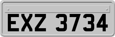 EXZ3734