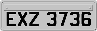 EXZ3736