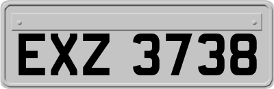 EXZ3738