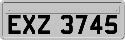 EXZ3745