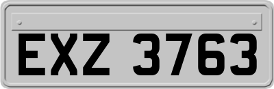 EXZ3763