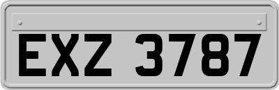 EXZ3787