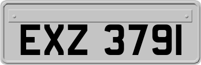 EXZ3791