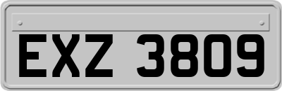 EXZ3809