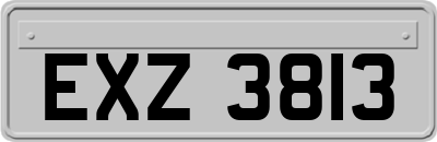 EXZ3813