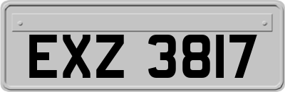EXZ3817