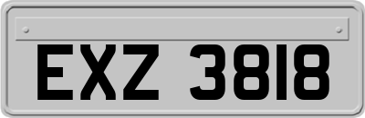 EXZ3818
