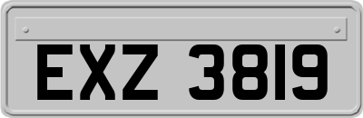 EXZ3819