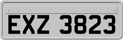 EXZ3823