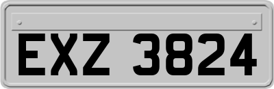 EXZ3824