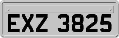 EXZ3825