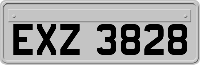 EXZ3828