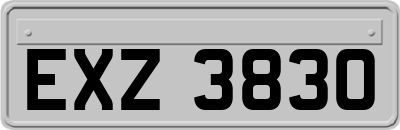 EXZ3830