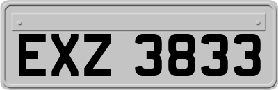 EXZ3833