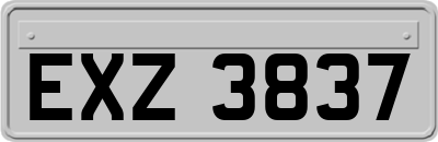 EXZ3837
