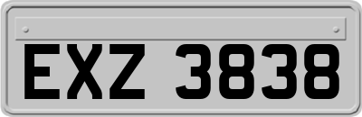 EXZ3838
