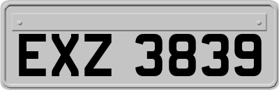 EXZ3839