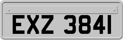 EXZ3841