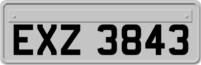 EXZ3843