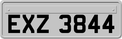 EXZ3844