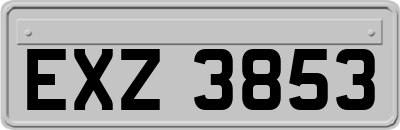 EXZ3853