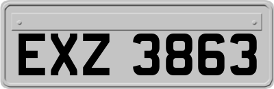 EXZ3863