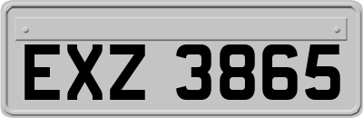 EXZ3865